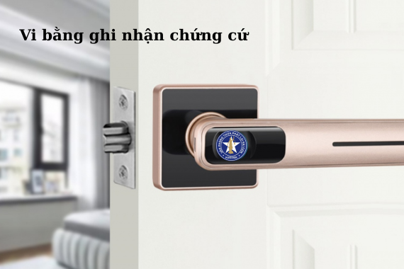 Sử dụng trái phép hình ảnh, logo, tên thương hiệu - Vi bằng ghi nhận hành vi cạnh tranh không lành mạnh