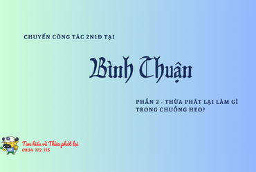 "DU LỊCH" CÙNG TPL - P2: TPL làm gì trong chuồng heo?